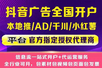 SEM代理操作技巧：成功案例揭秘